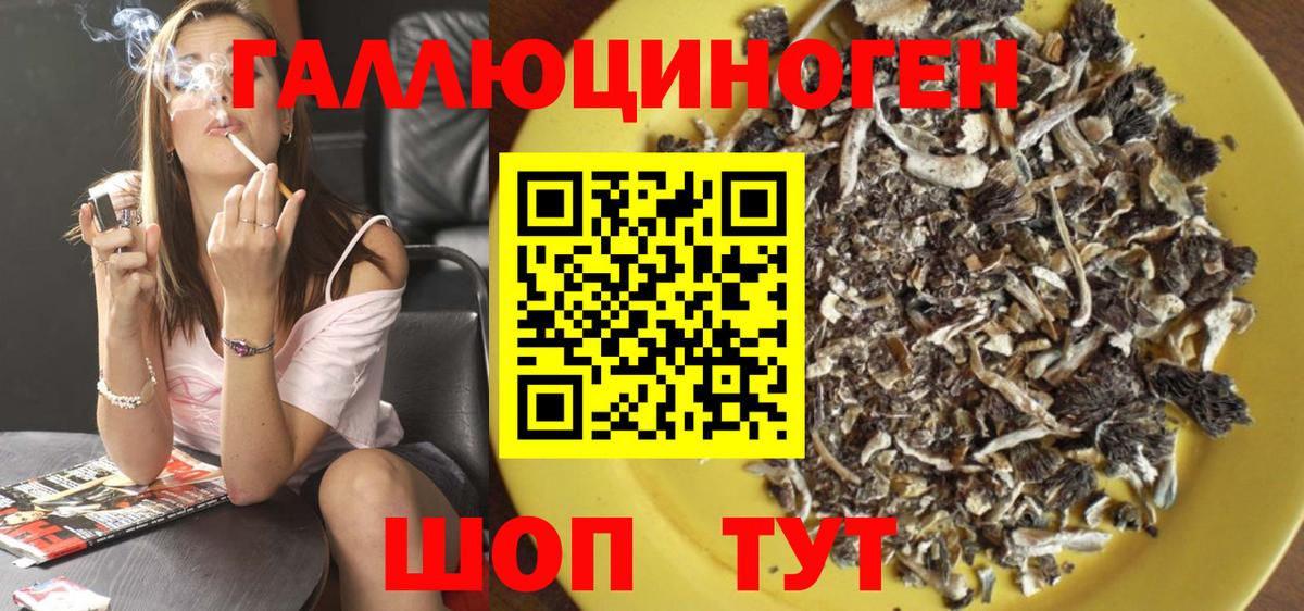 Избербаш  Галлюциногенные грибы Psilocybine cubensis  Вход с VPN 